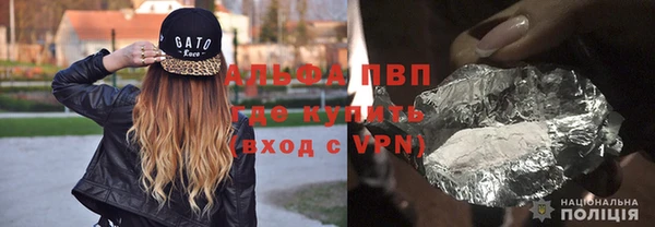 мяу мяу мука Иннополис