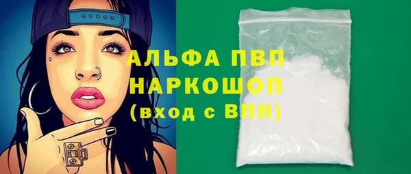 мяу мяу мука Иннополис