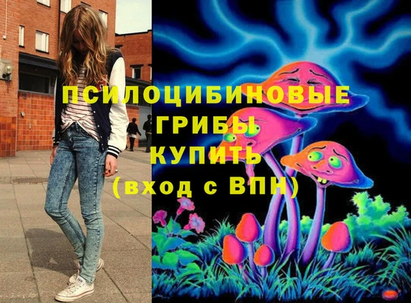 винт Инта