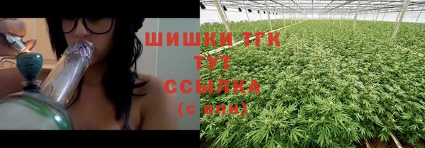 амф Инсар