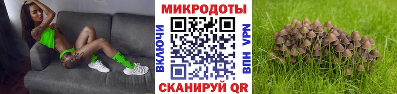 Галлюциногенные грибы Cubensis  Купить закладки  Тайга 